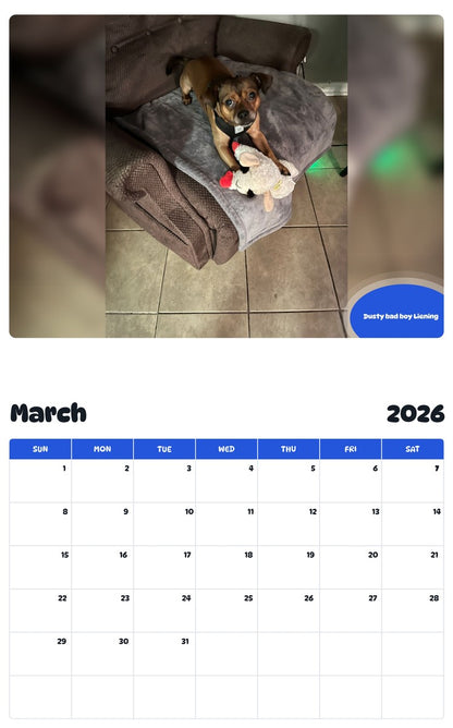 November 2025 - October 2026 Dusty bad boy Liening - Pawidols Pet Calendar