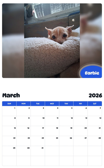 November 2025 - October 2026 Barbie - Pawidols Pet Calendar