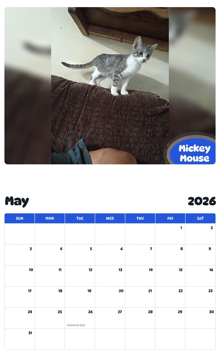 2026 - 2027 Mickey Mouse - Pawidols Pet Calendar