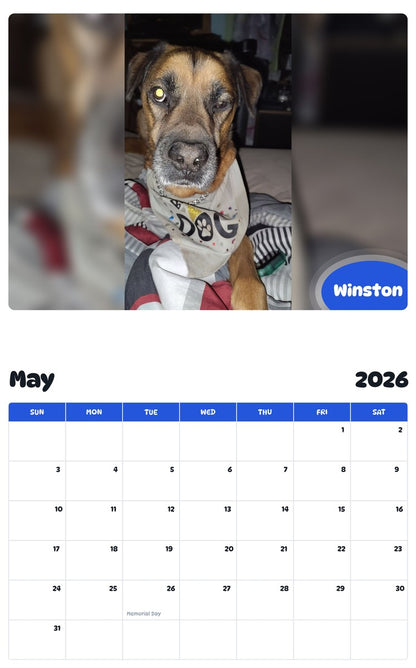 2026 - 2027 Winston - Pawidols Pet Calendar