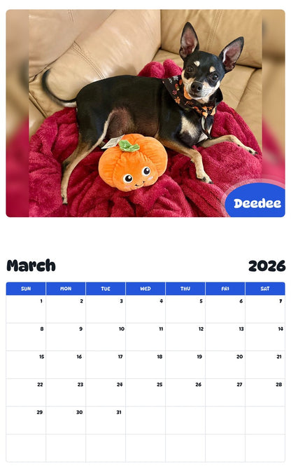 November 2025 - October 2026 Deedee - Pawidols Pet Calendar