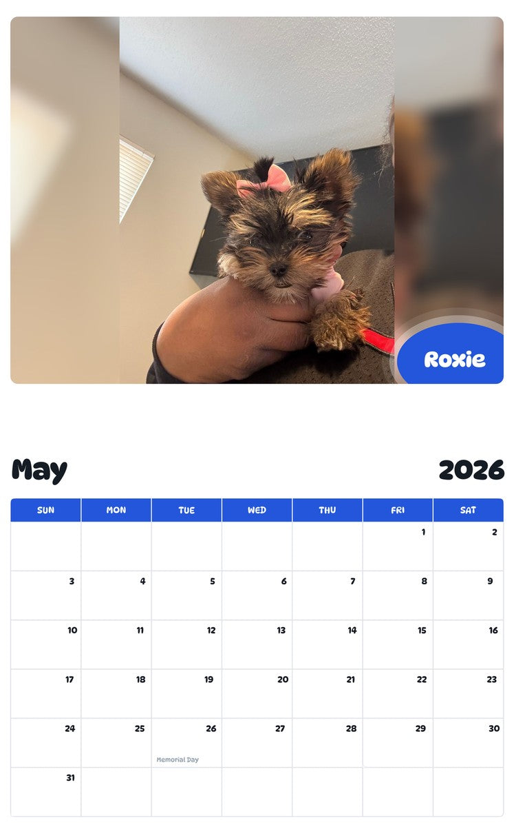 2026 - 2027 Roxie - Pawidols Pet Calendar