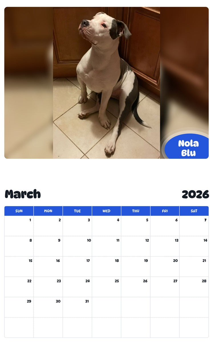 November 2025 - October 2026 Nola Blu - Pawidols Pet Calendar