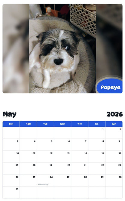 2026 - 2027 Popeye - Pawidols Pet Calendar