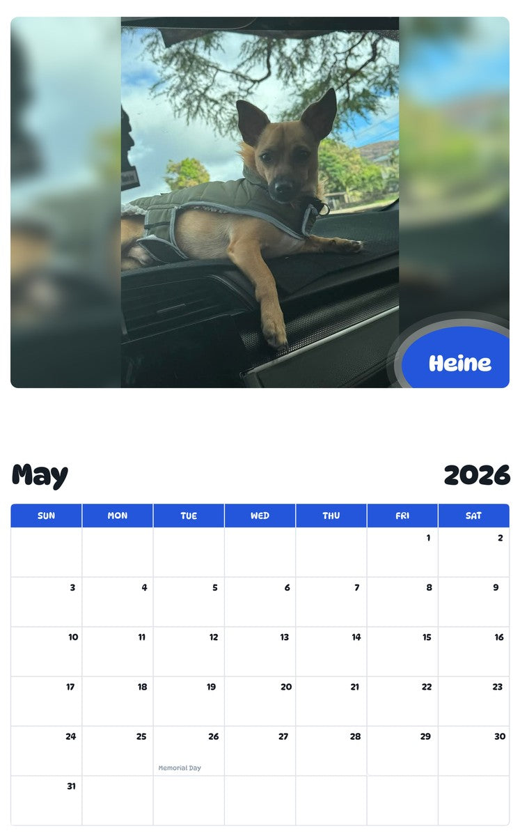 2026 - 2027 Heine - Pawidols Pet Calendar