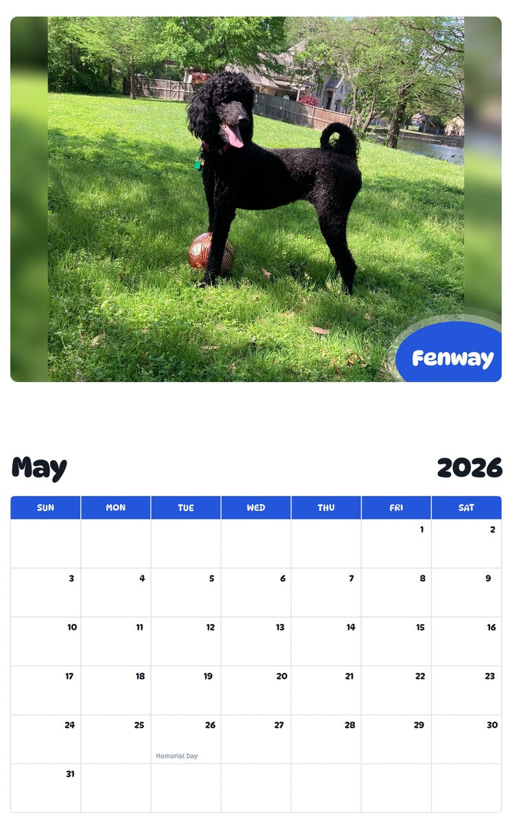 2026 - 2027 Fenway - Pawidols Pet Calendar