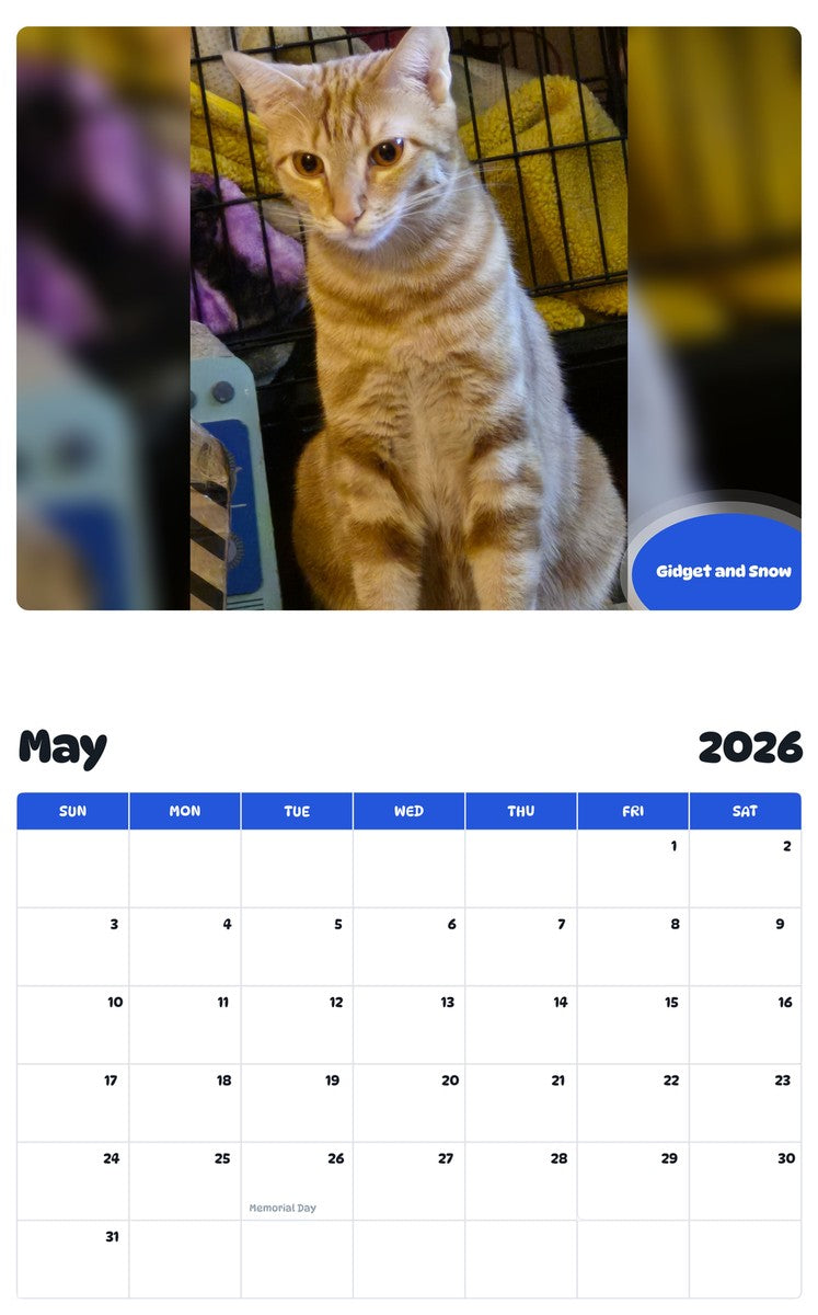 2026 - 2027 Gidget and Snow - Pawidols Pet Calendar