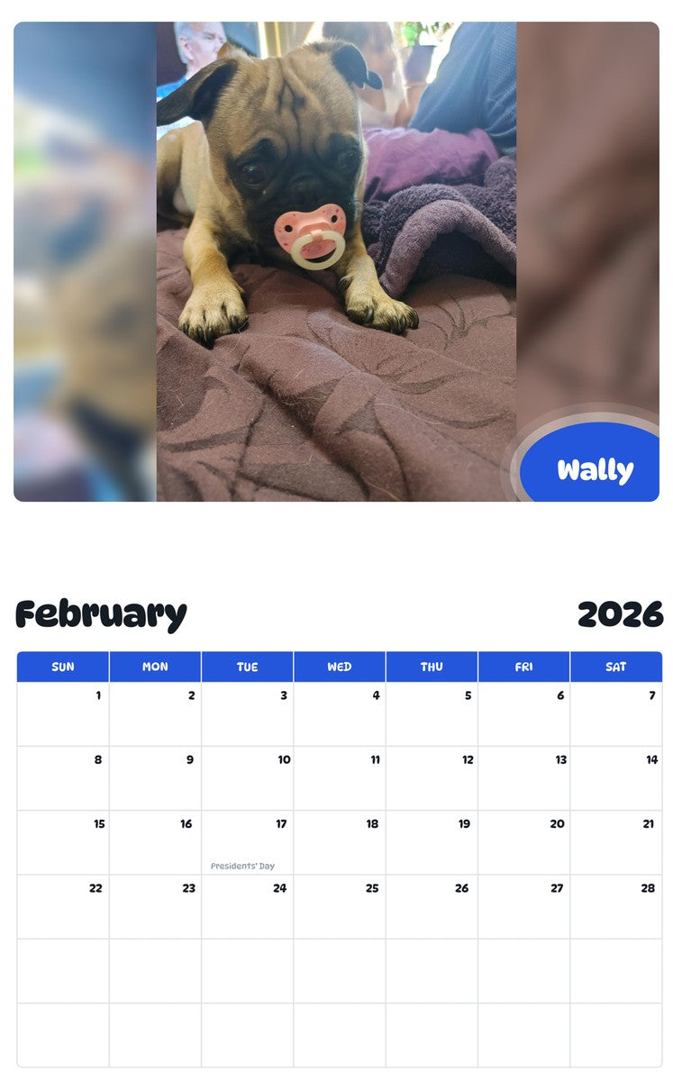 October 2025 - September 2026 Wally - Pawidols Pet Calendar