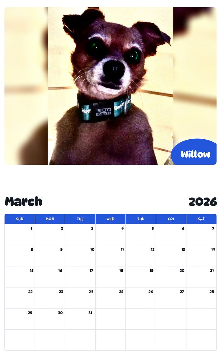 November 2025 - October 2026 Willow - Pawidols Pet Calendar