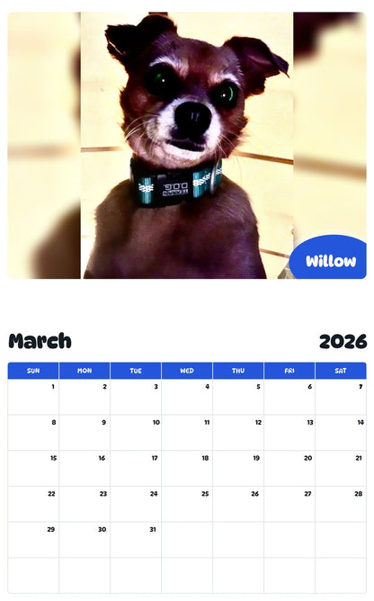 November 2025 - October 2026 Willow - Pawidols Pet Calendar