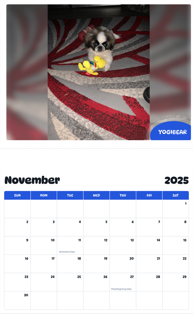 July 2025 - June 2026 Yogibear - Pawidols Pet Calendar