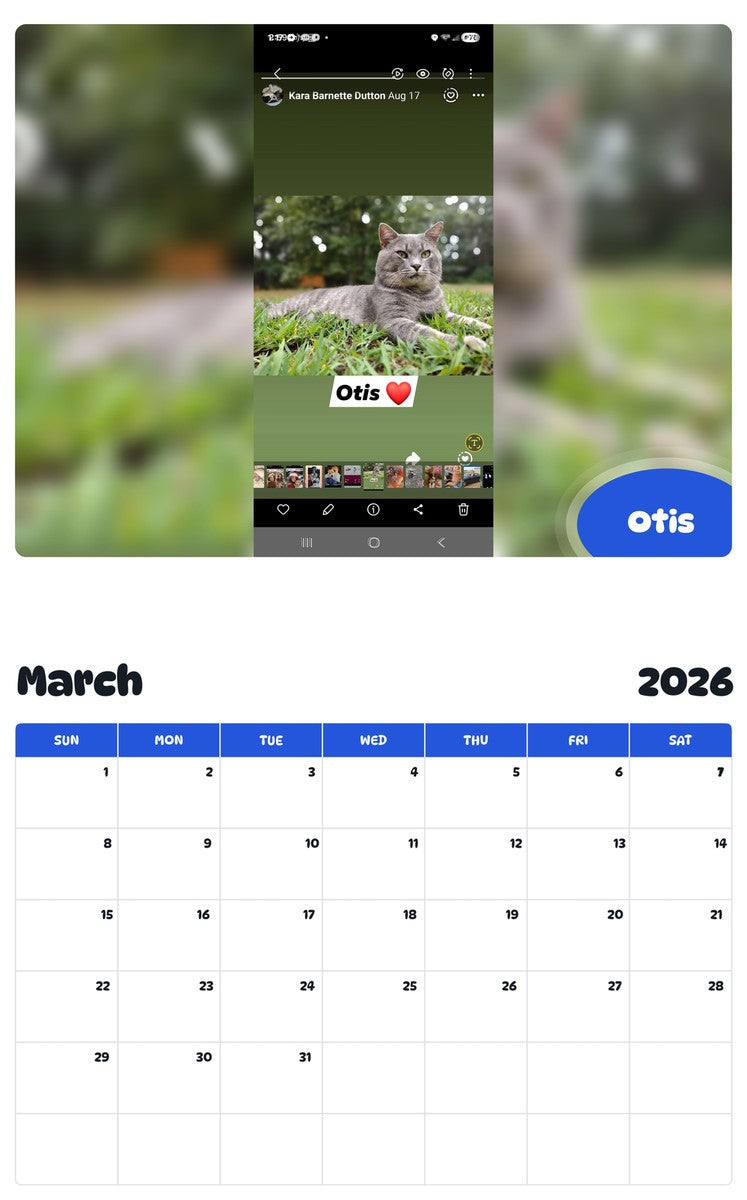 November 2025 - October 2026 Otis - Pawidols Pet Calendar