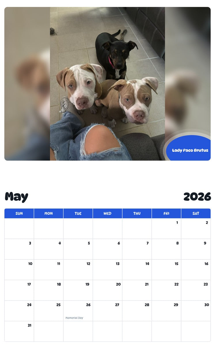 2026 - 2027 Lady Paco Brutus - Pawidols Pet Calendar