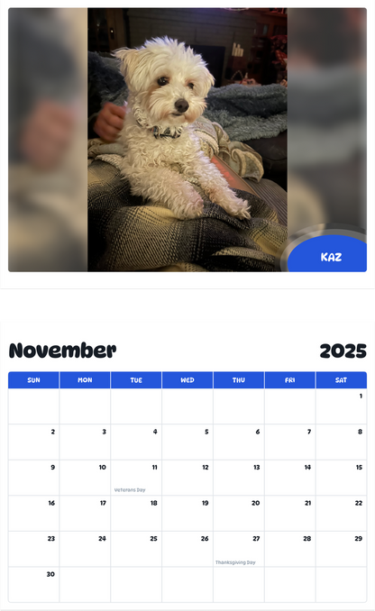 July 2025 - June 2026 Kaz - Pawidols Pet Calendar