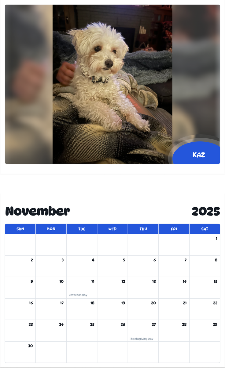 July 2025 - June 2026 Kaz - Pawidols Pet Calendar