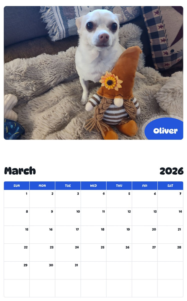 November 2025 - October 2026 Oliver - Pawidols Pet Calendar