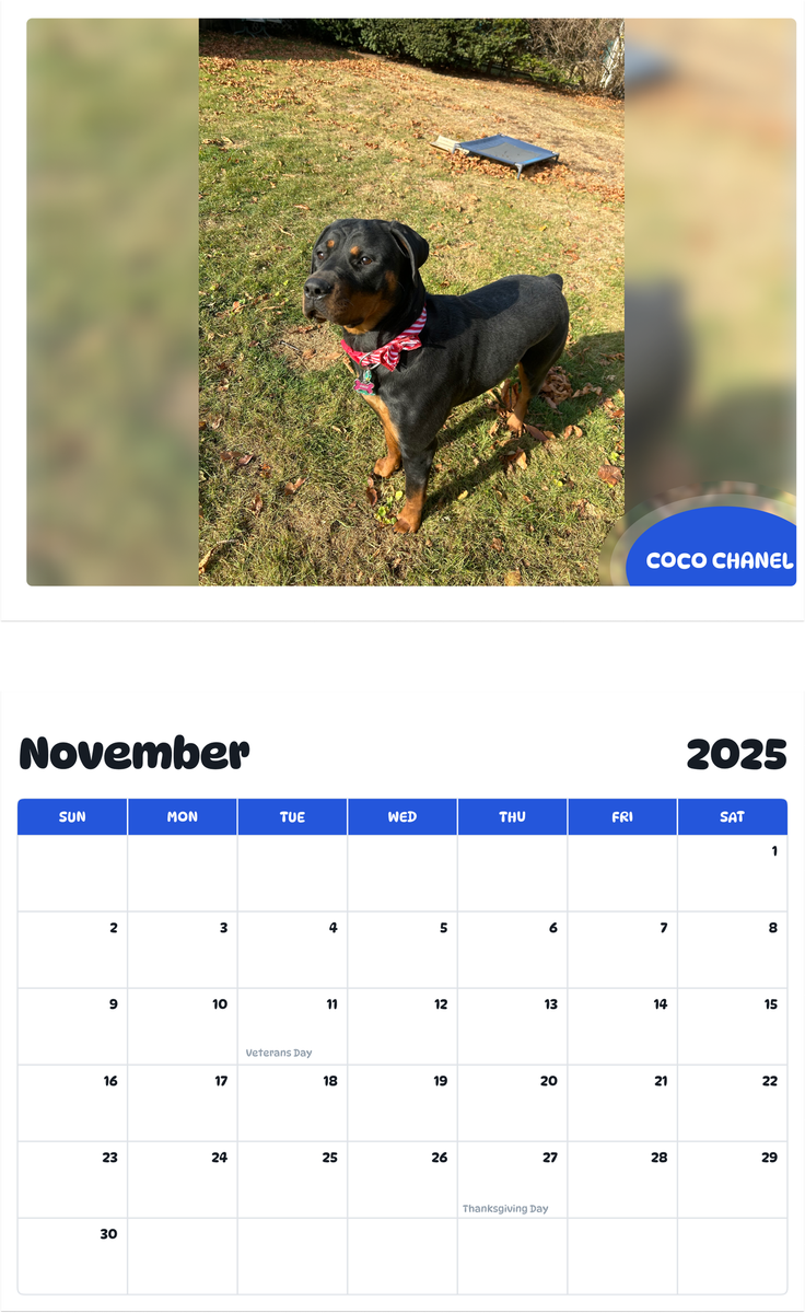 July 2025 - June 2026 Coco Chanel - Pawidols Pet Calendar