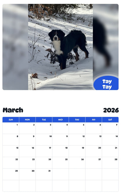 November 2025 - October 2026 Tay Tay - Pawidols Pet Calendar