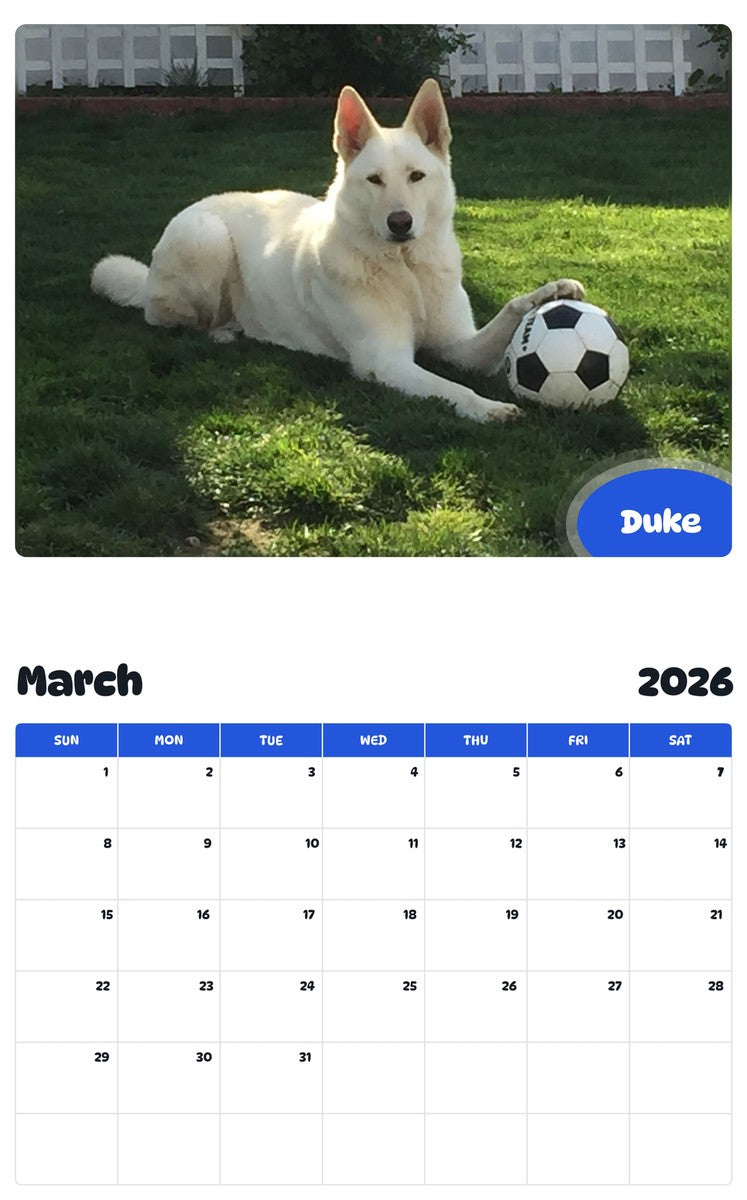 November 2025 - October 2026 Duke - Pawidols Pet Calendar