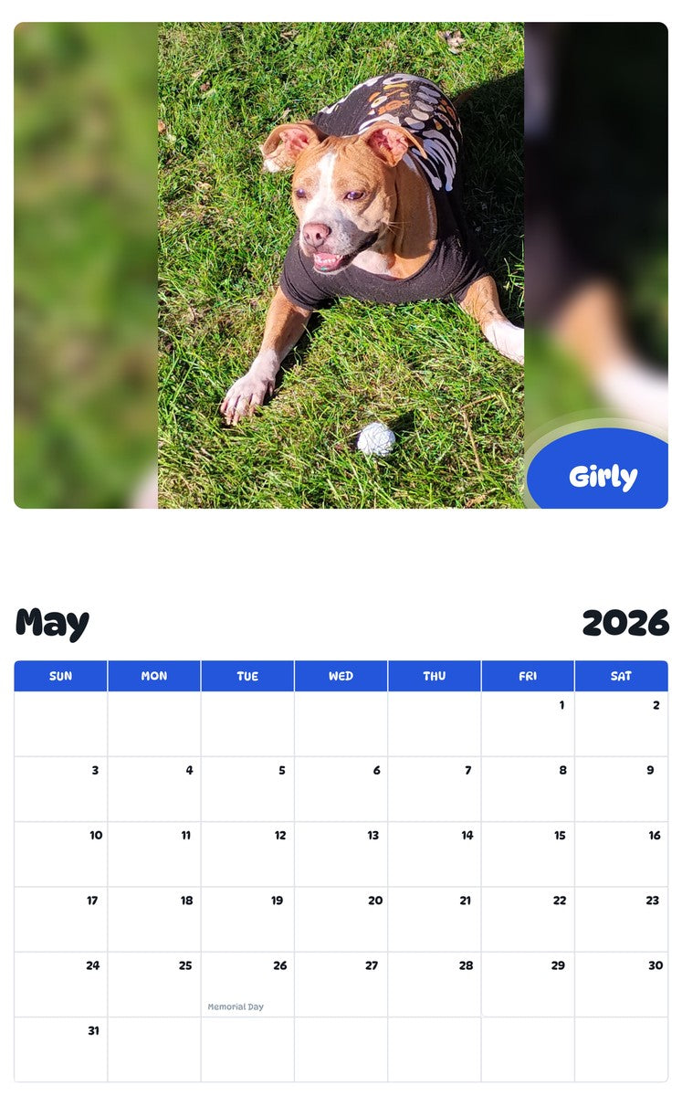 2026 - 2027 Girly - Pawidols Pet Calendar