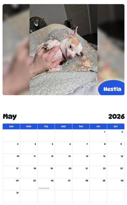 2026 - 2027 Hestia - Pawidols Pet Calendar