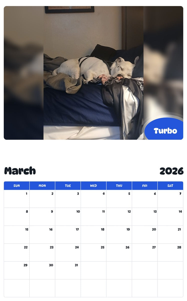 November 2025 - October 2026 Turbo - Pawidols Pet Calendar