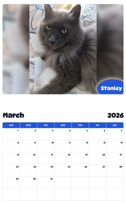November 2025 - October 2026 Stanley - Pawidols Pet Calendar