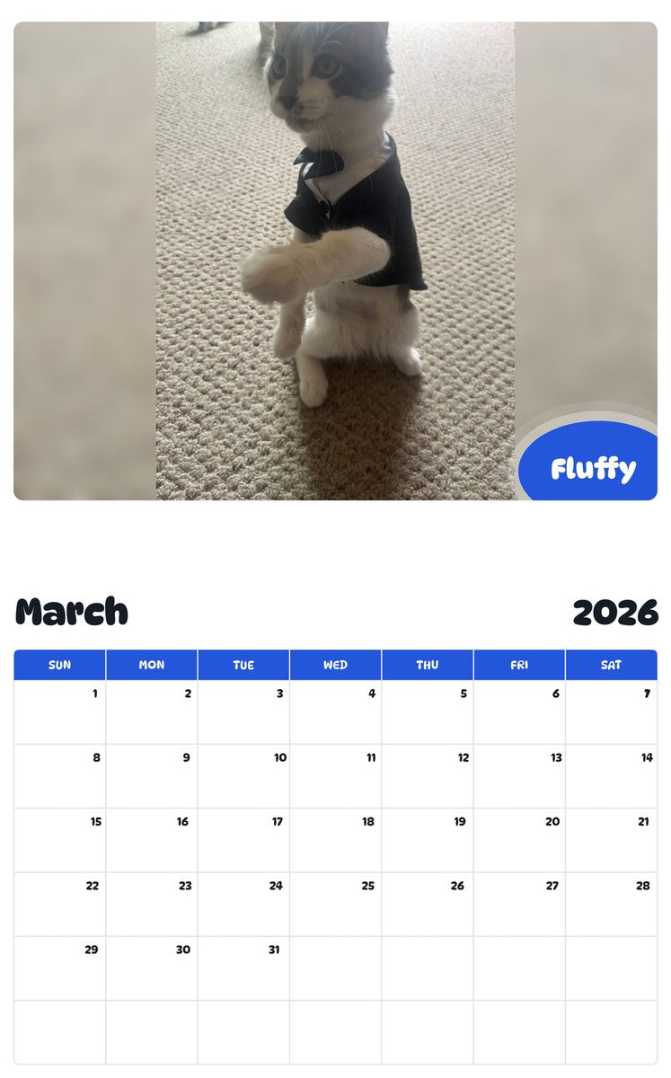 November 2025 - October 2026 Fluffy - Pawidols Pet Calendar