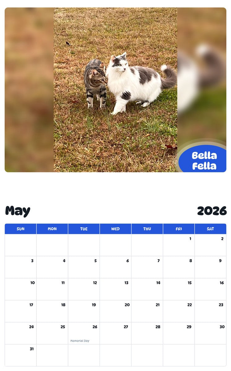 2026 - 2027 Bella Fella - Pawidols Pet Calendar