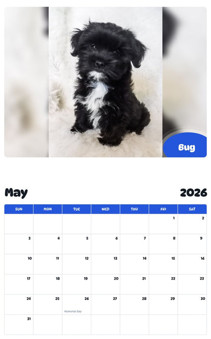 2026 - 2027 Bug - Pawidols Pet Calendar