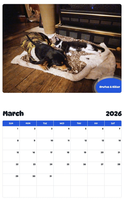 November 2025 - October 2026 Brutus & Killer - Pawidols Pet Calendar