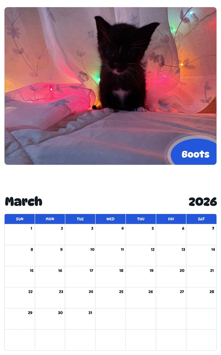 November 2025 - October 2026 Boots - Pawidols Pet Calendar