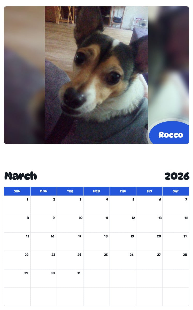 November 2025 - October 2026 Rocco - Pawidols Pet Calendar