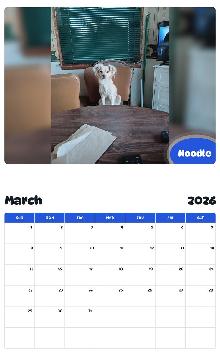 November 2025 - October 2026 Noodle - Pawidols Pet Calendar