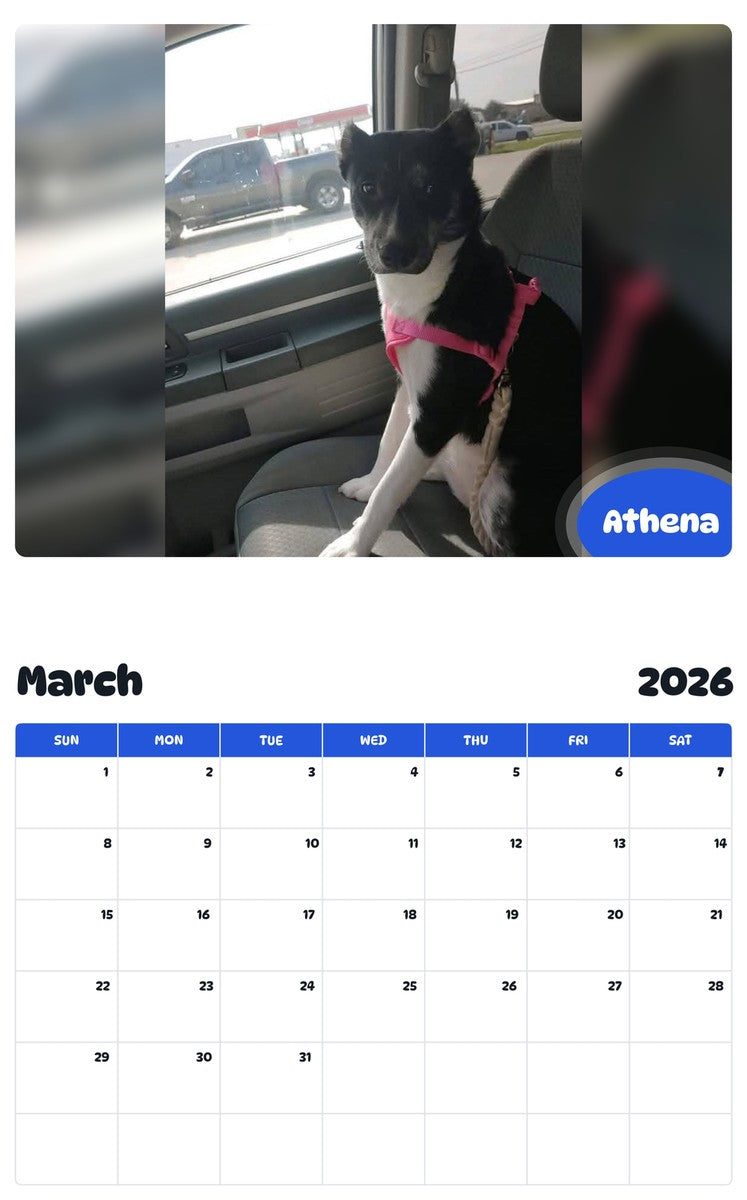 November 2025 - October 2026 Athena - Pawidols Pet Calendar