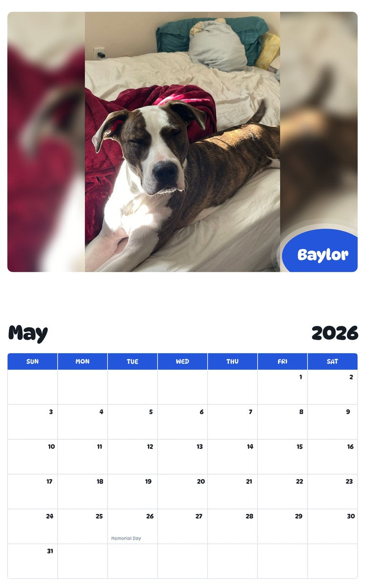 2026 - 2027 Baylor - Pawidols Pet Calendar