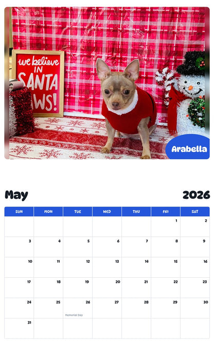 2026 - 2027 Arabella - Pawidols Pet Calendar