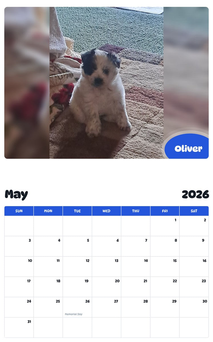 2026 - 2027 Oliver - Pawidols Pet Calendar