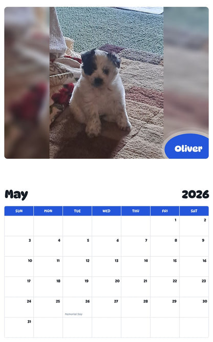 2026 - 2027 Oliver - Pawidols Pet Calendar