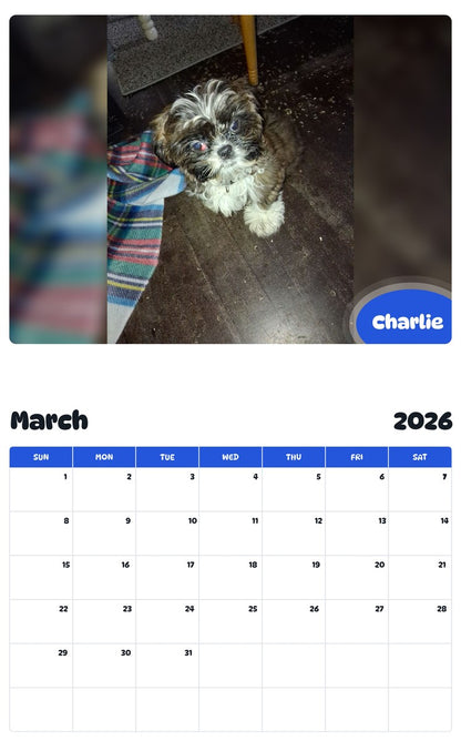 November 2025 - October 2026 Charlie - Pawidols Pet Calendar