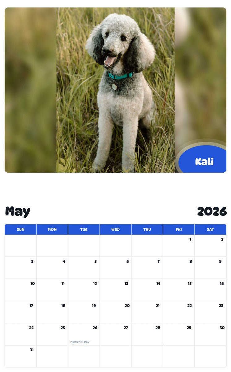 2026 - 2027 Kali - Pawidols Pet Calendar