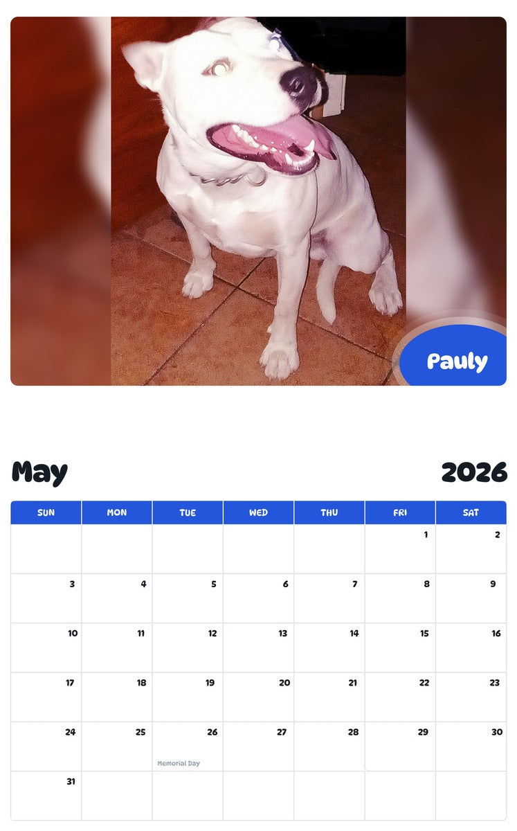 2026 - 2027 Pauly - Pawidols Pet Calendar