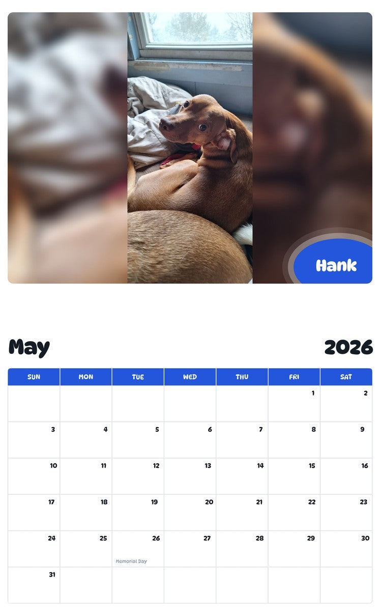 2026 - 2027 Hank - Pawidols Pet Calendar