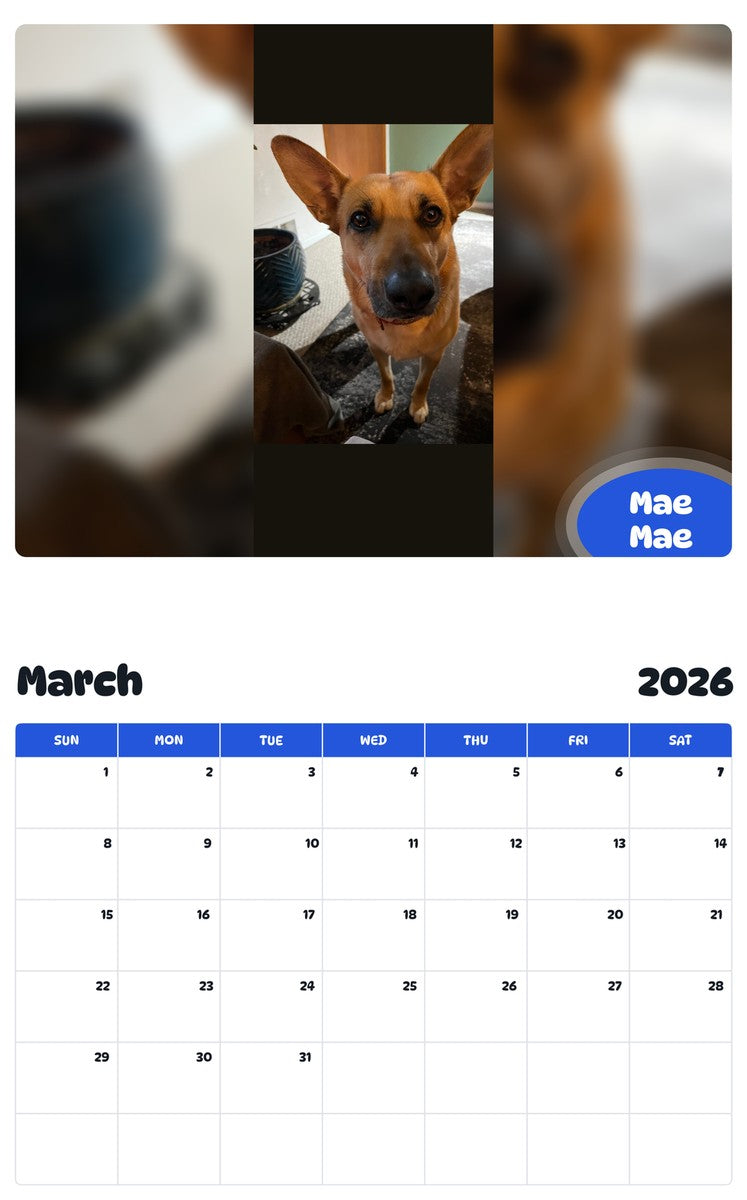 November 2025 - October 2026 Mae Mae - Pawidols Pet Calendar