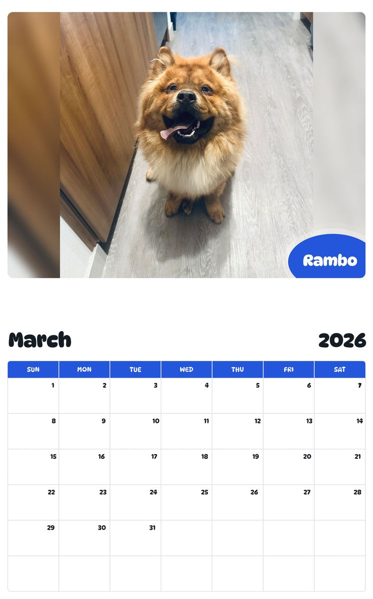 November 2025 - October 2026 Rambo - Pawidols Pet Calendar