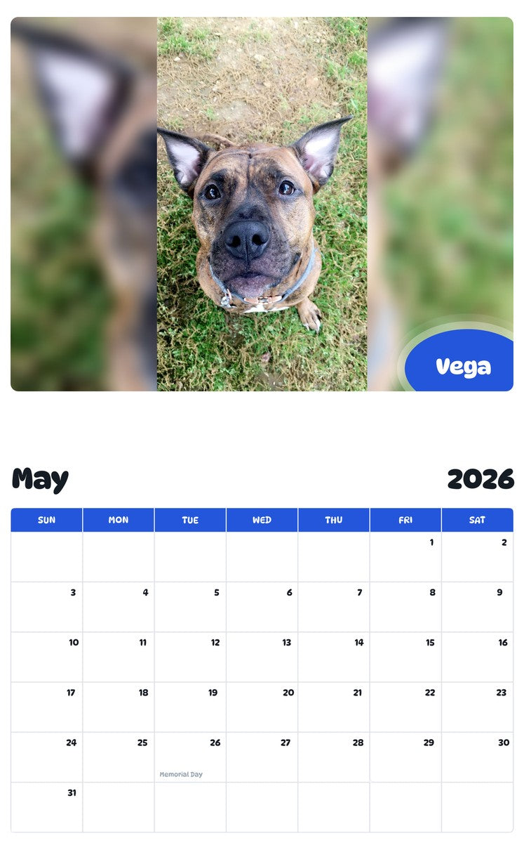 2026 - 2027 Vega - Pawidols Pet Calendar