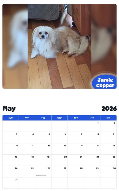 2026 - 2027 Jamie Copper - Pawidols Pet Calendar