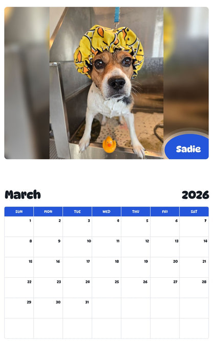 November 2025 - October 2026 Sadie - Pawidols Pet Calendar