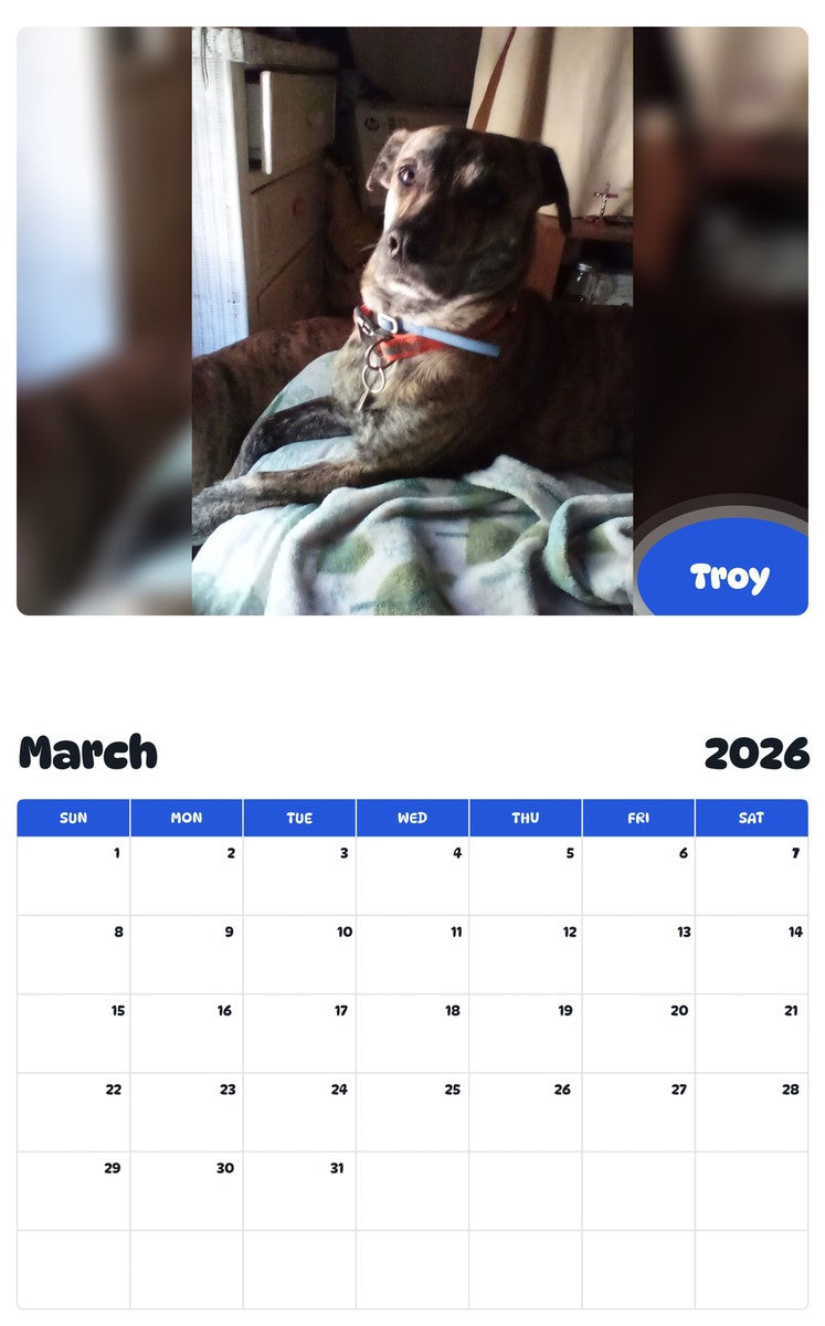 November 2025 - October 2026 Troy - Pawidols Pet Calendar