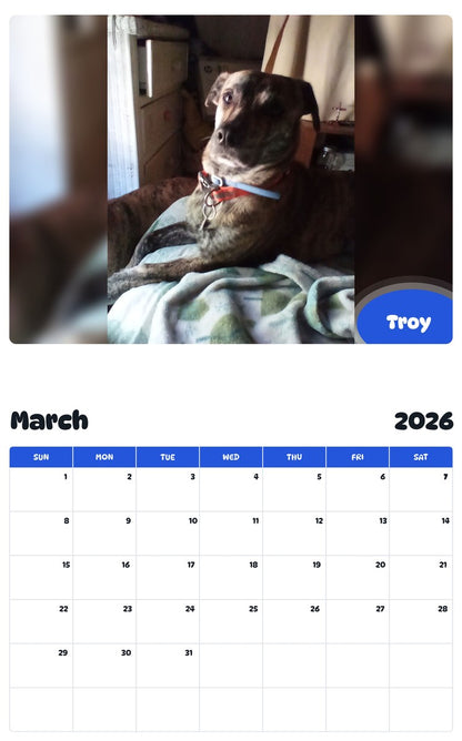 November 2025 - October 2026 Troy - Pawidols Pet Calendar
